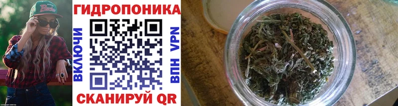 Бошки марихуана план  продажа наркотиков  Заводоуковск 